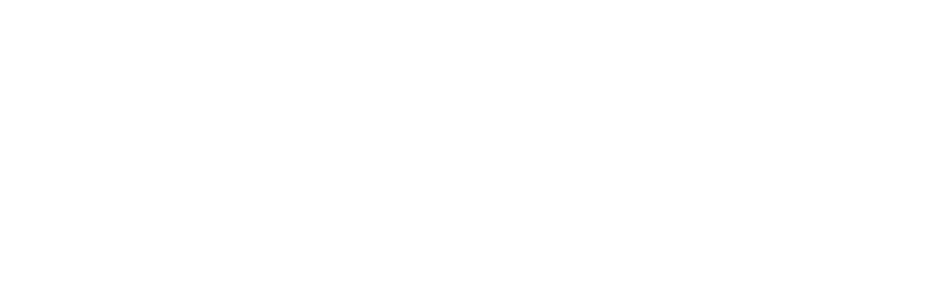 Visa_Brandmark_White_RGB_72ppi